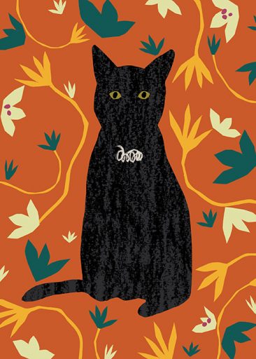 Black Cat da Lily Windsor Walker